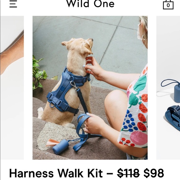 Wild One 🐶 harness walk set and collar - Picture 1 of 6